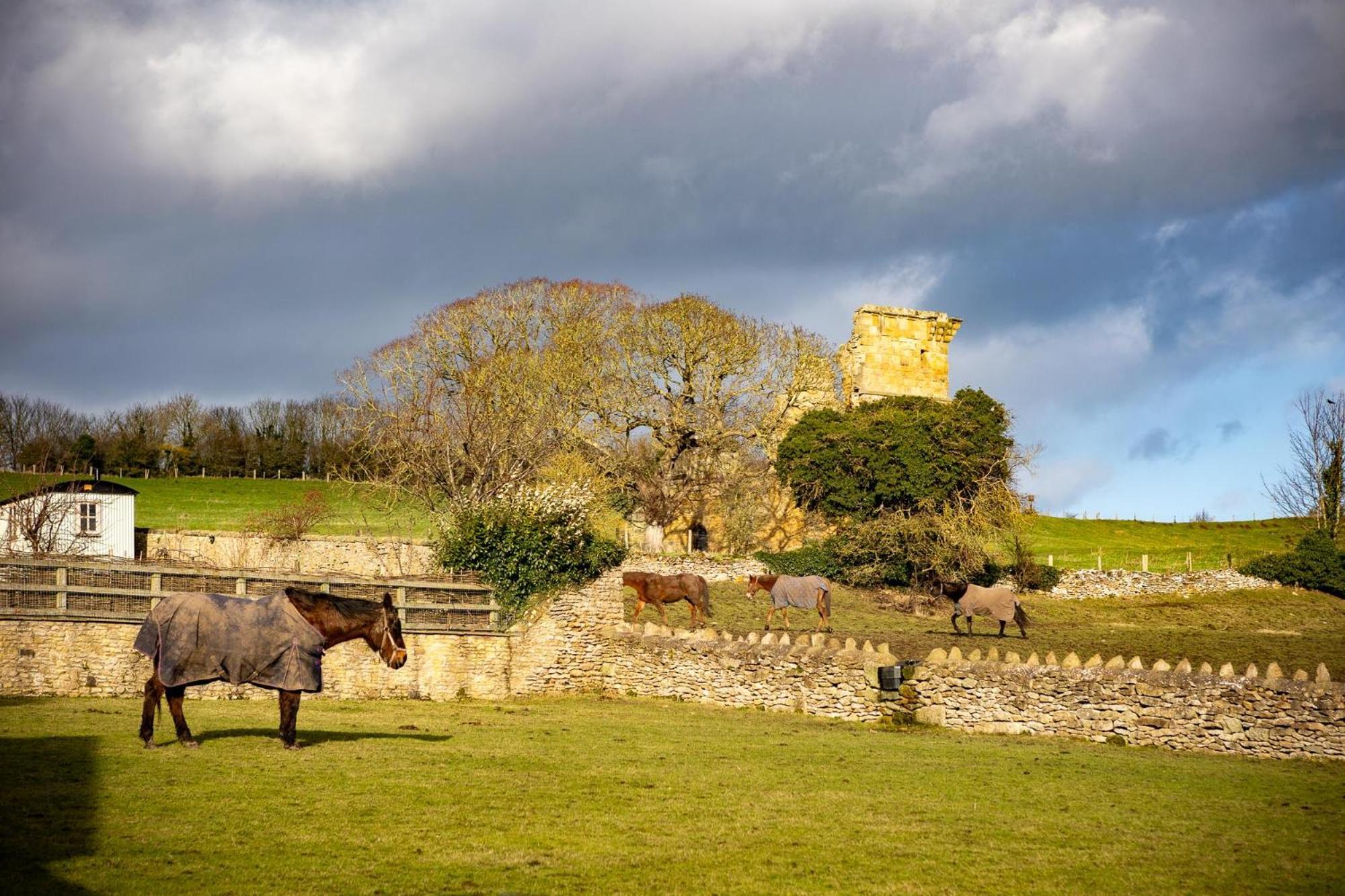 Yew Tree Cottage East Ayton Экстерьер фото